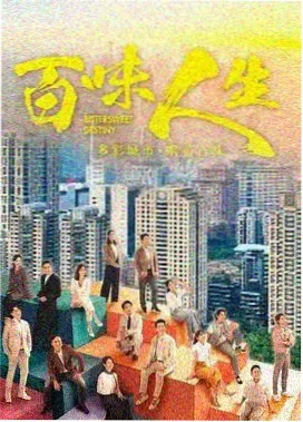 私人影剧悬疑剧集雾港迷踪封面